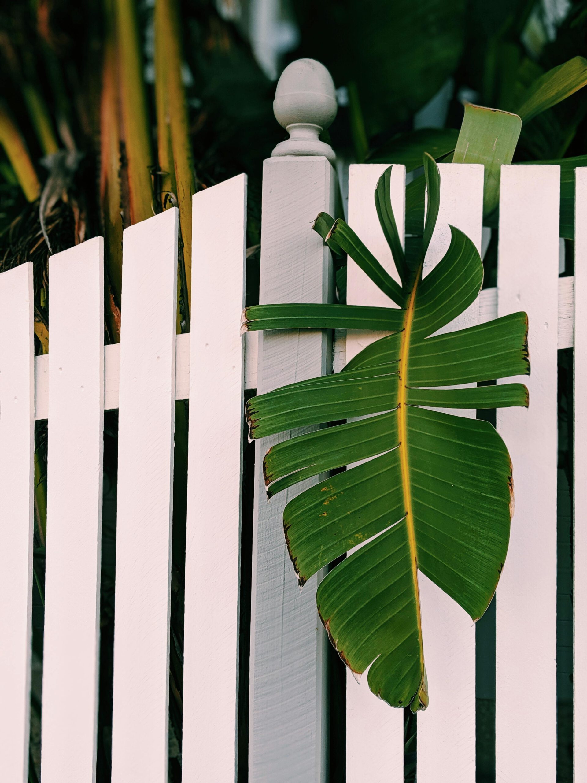Redefining Excellence Among Rock Hill, SC Fencing Companies